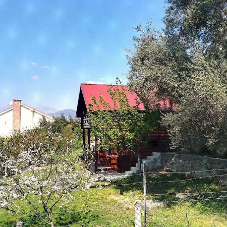 Timber House Villa Тиват Екстериор снимка